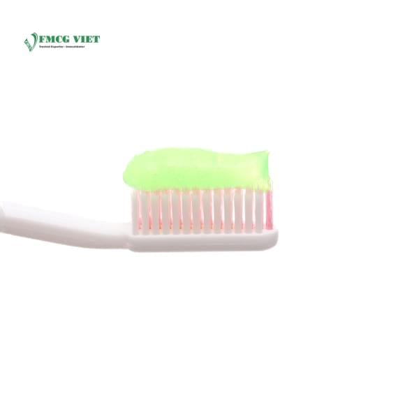 Close Up Toothpaste 180g Mandarin Oil & Herbal