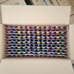 Colgate Toothbrush Jungle For Kid 12 Sheet