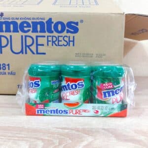 Mentos Candy Chewing Gum Pure Fresh Watermelon 61.25g