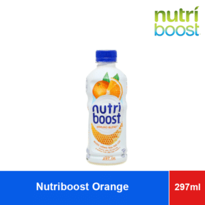 Nutriboost Fruit Milk Orange Honey Flavor 297ml