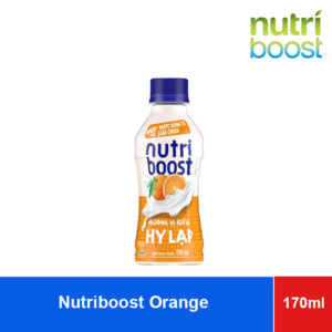 Nutriboost Drinking Yogurt Orange Flavor 170ml