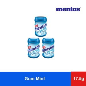 Mentos Chewing Gum Candy Mint Sugar Free 17.5g
